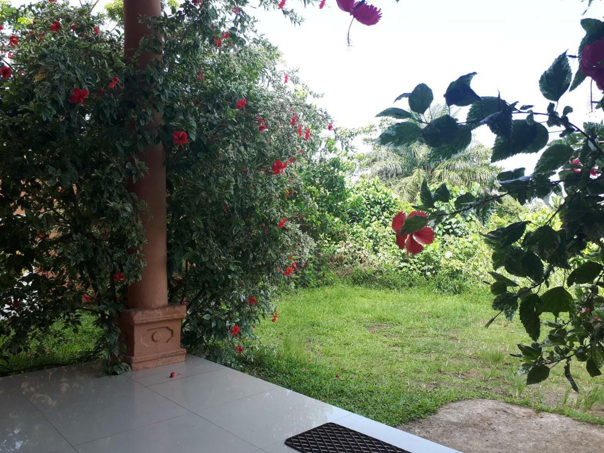 Hotel Lobe كريبي المظهر الخارجي الصورة